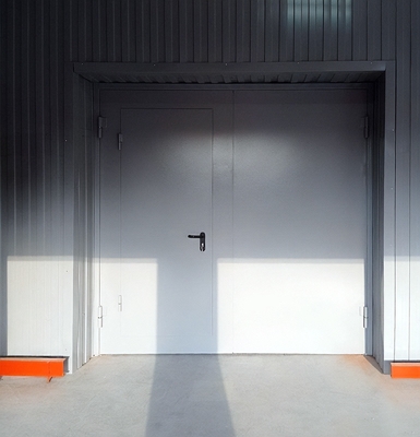 Ворота с дверью