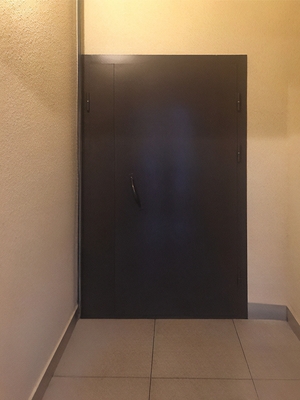 Тамбурная входная дверь